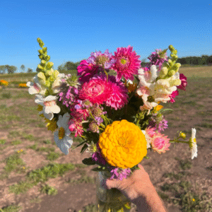 flower cup bouquet