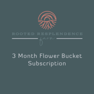 3- month flower bucket subscription store image