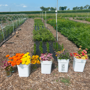 U-cut flower bucket