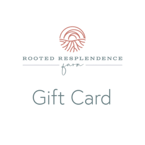 Gift cards icon