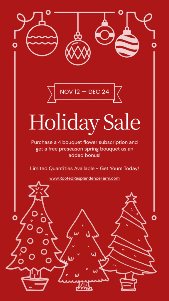 2025 December Holiday Sale