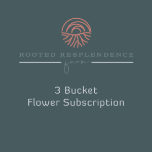 3 bucket store image