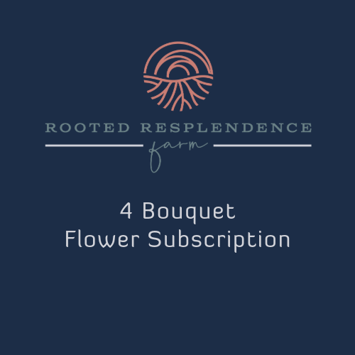 4 Bouquet Flower Subscription 1 4 Bouquet Store Image