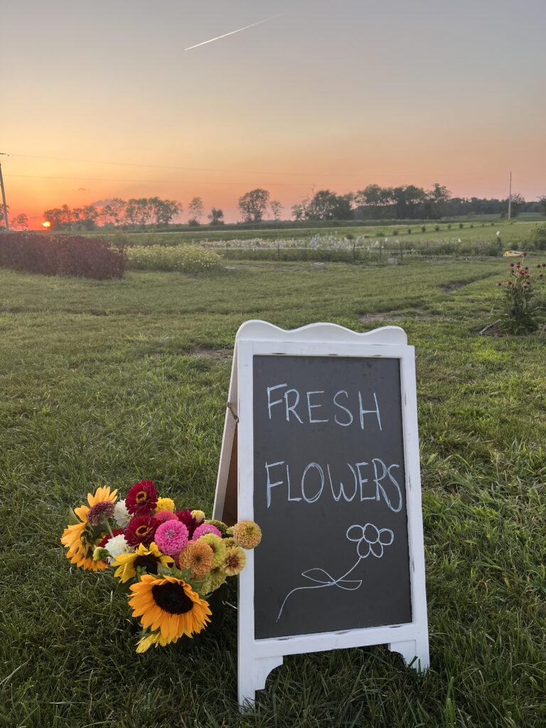 Flower sign with sunset